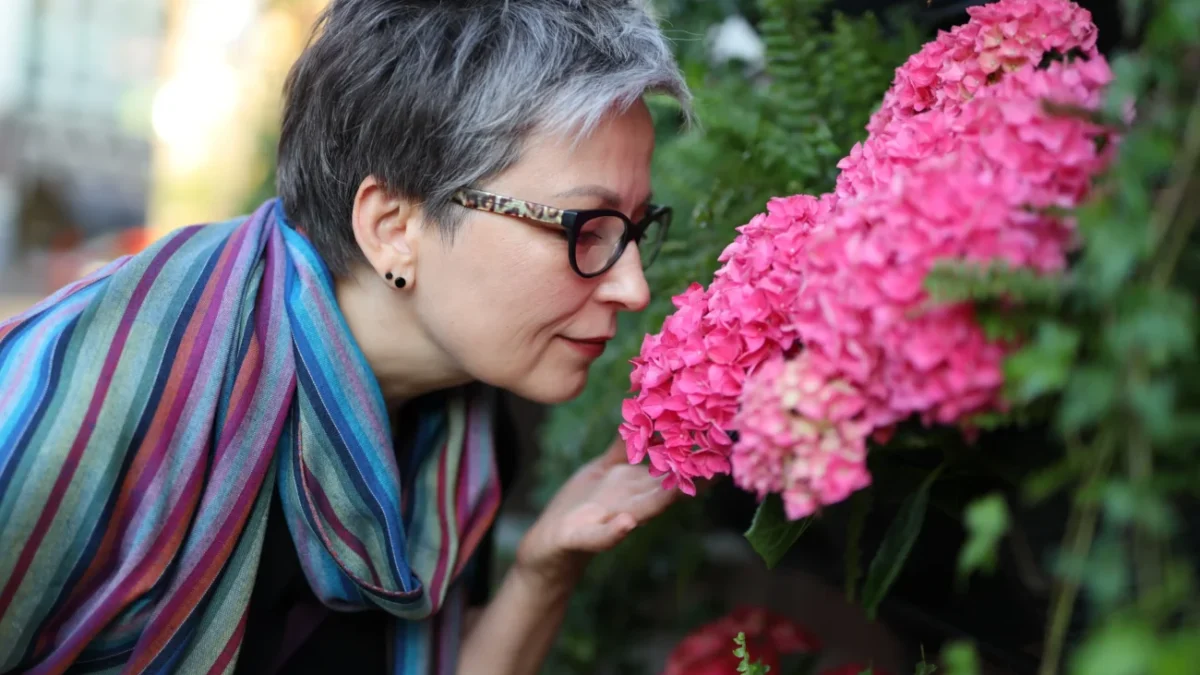 shutterstock_2319513151-2