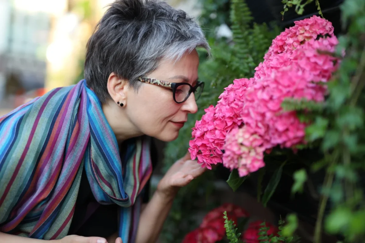 shutterstock_2319513151-2