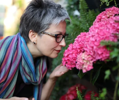 shutterstock_2319513151-2