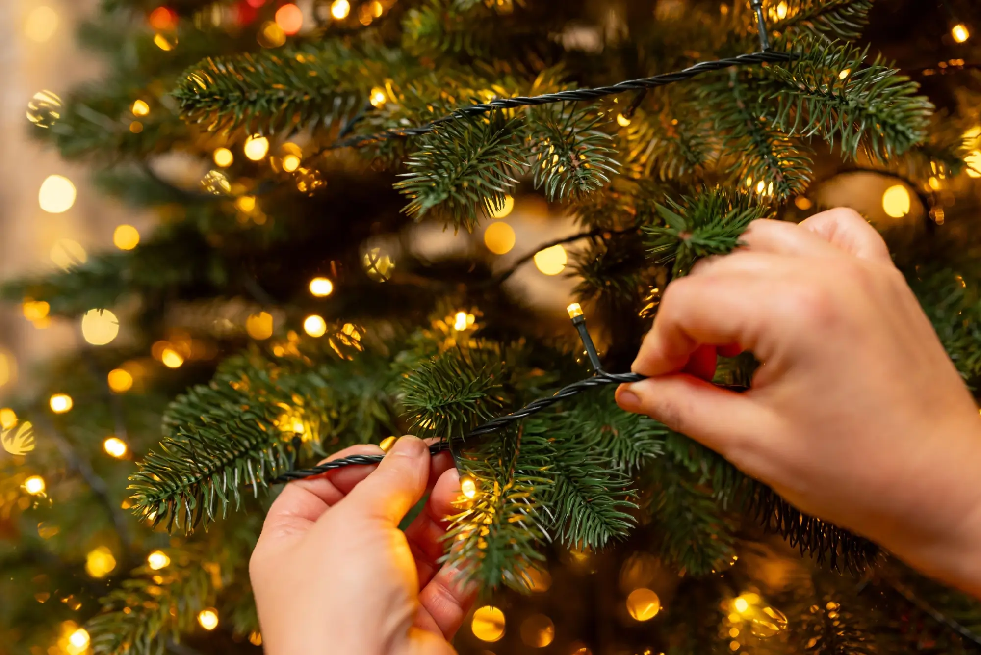 Je tento umělý stromeček a světelný řetěz nezávadný? | TVGURU.cz Je tento umělý stromeček a světelný řetěz nezávadný