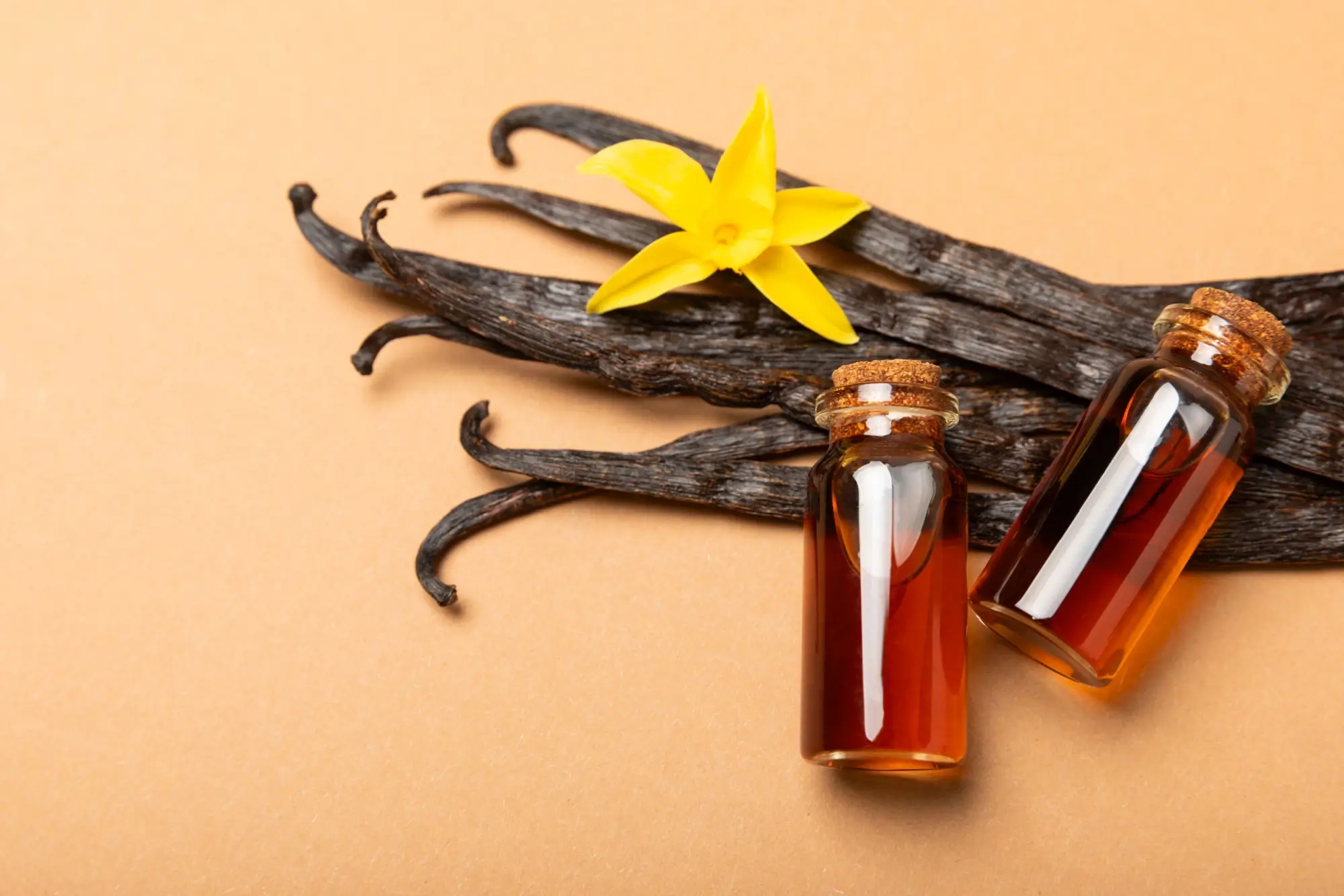 Vanilkový lusk, květ a extrakt | TVGURU.cz Vanilkový lusk, květ a extrakt