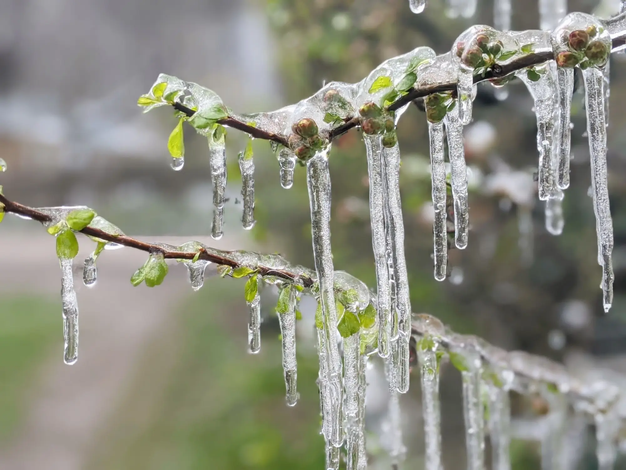 Tady vidíte, kdy si zima vybírá svou daň