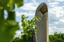 Socha sv. Anežky České na pavlovských vinohradech na Pálavě