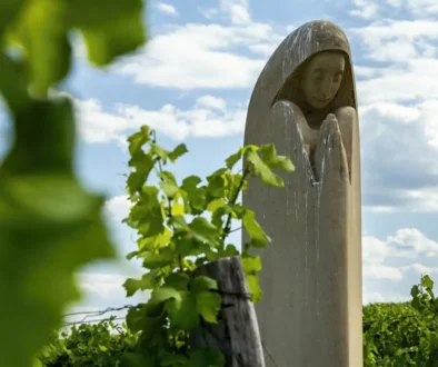 Socha sv. Anežky České na pavlovských vinohradech na Pálavě