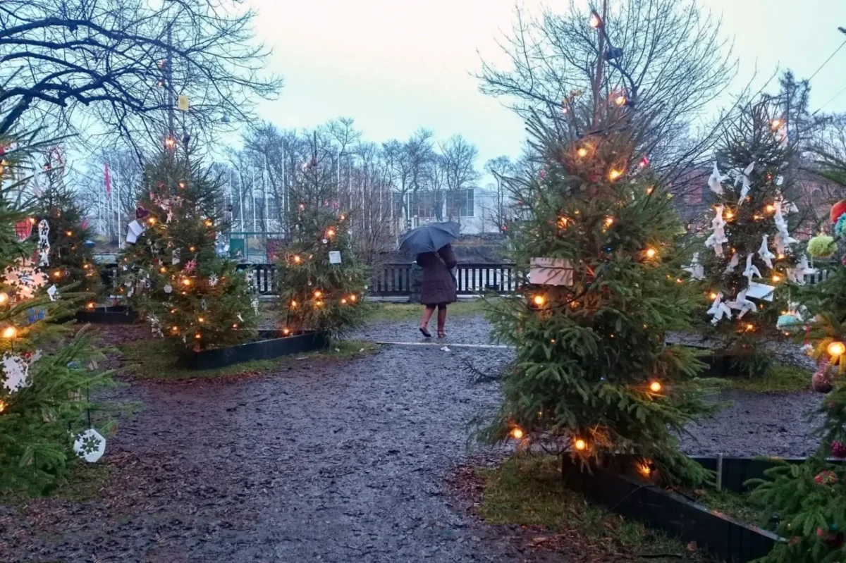 Vánoční stromky a bláto