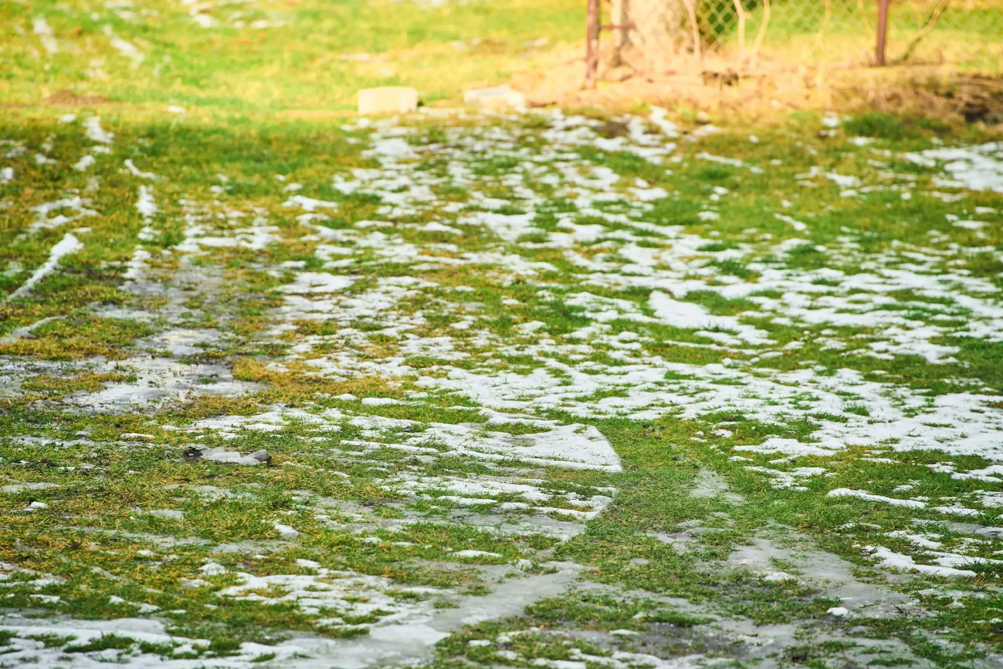 Zbytky sněhu při oblevě | TVGURU.cz Zbytky sněhu při oblevě