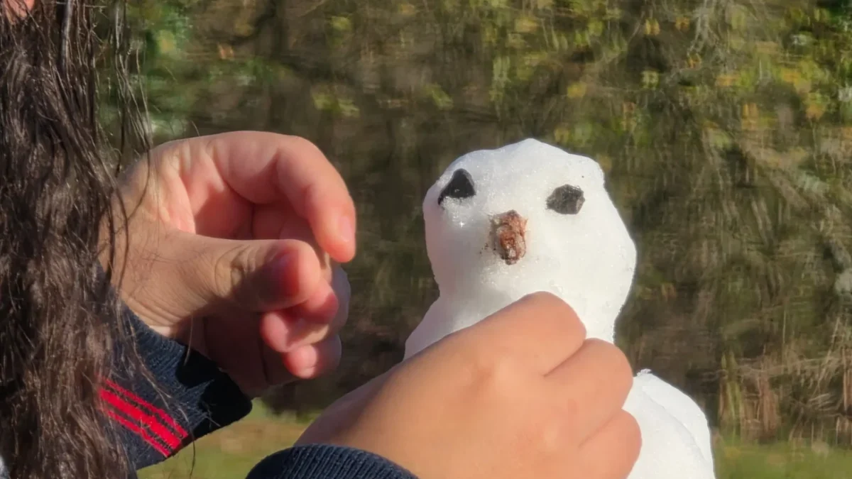 Člověk upravuje sněhuláka.