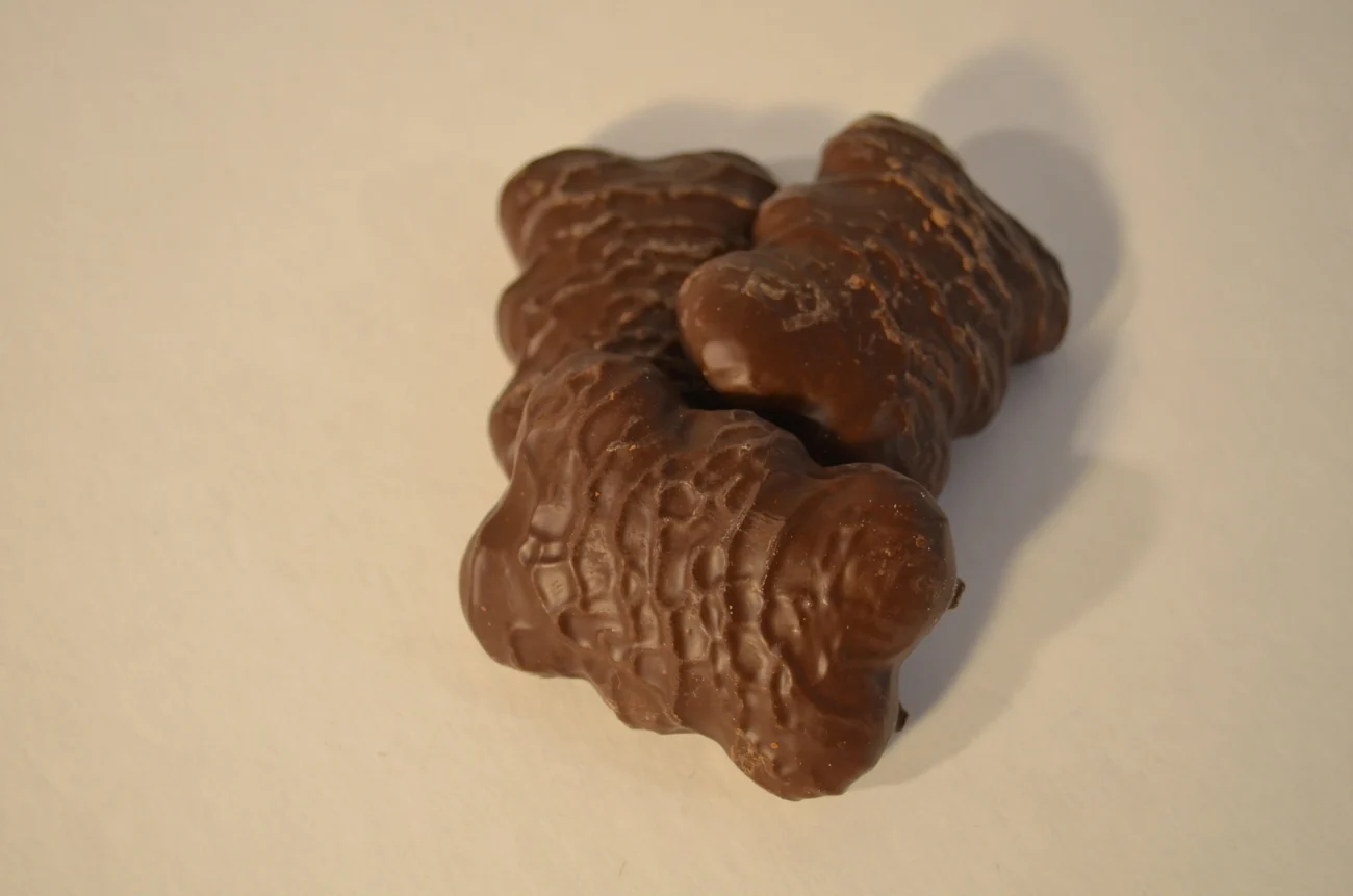 shutterstock_2106861131-min | TVGURU.cz perníček v čokoládě