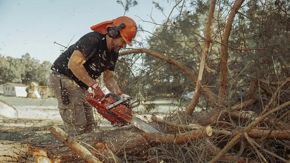 Vojta Kotek se práce nebojí. Zdroj: skupinaprima.cz | TVGURU.cz Vojta Kotek