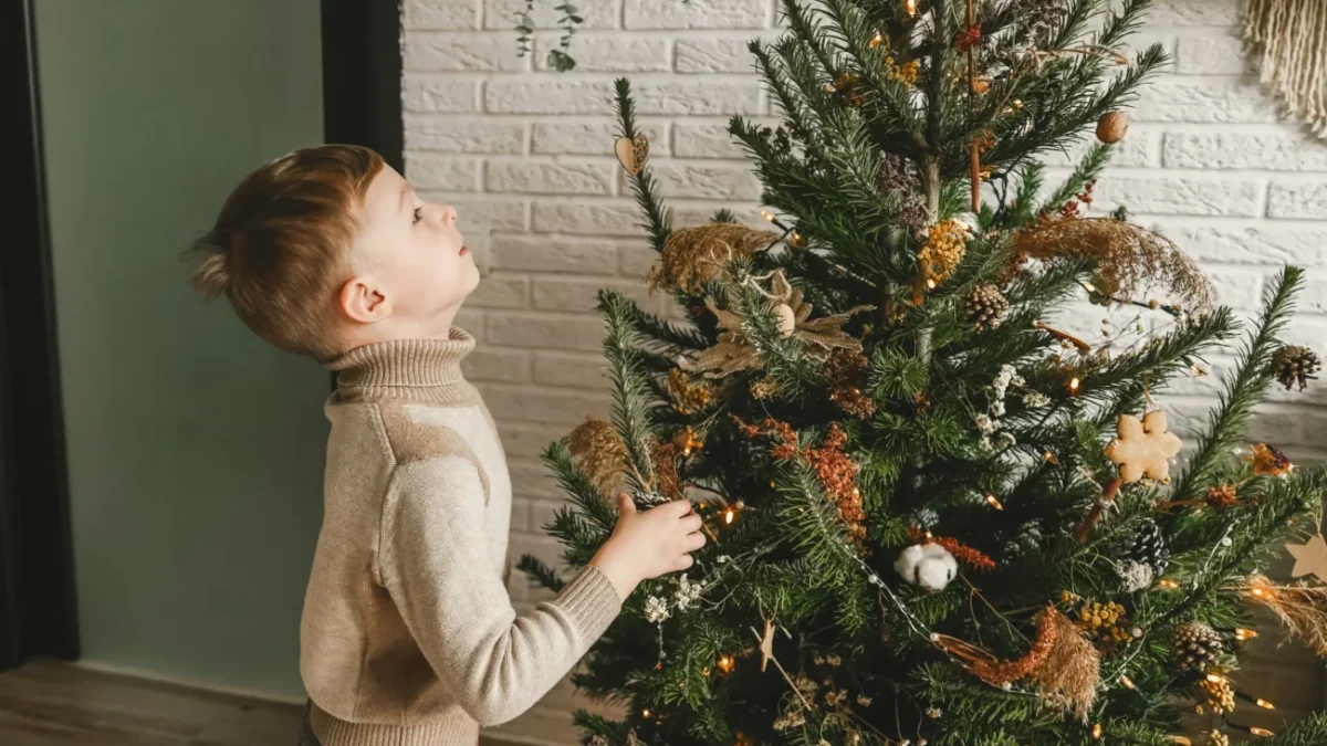Chlapeček zírá na vánoční strom.