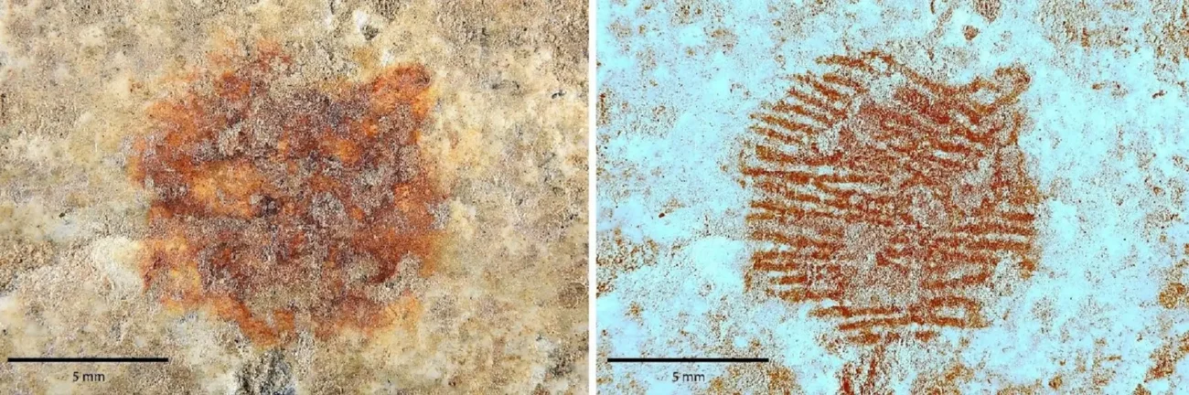 profimedia-1011380895 | TVGURU.cz otisk prstu neandrtálce