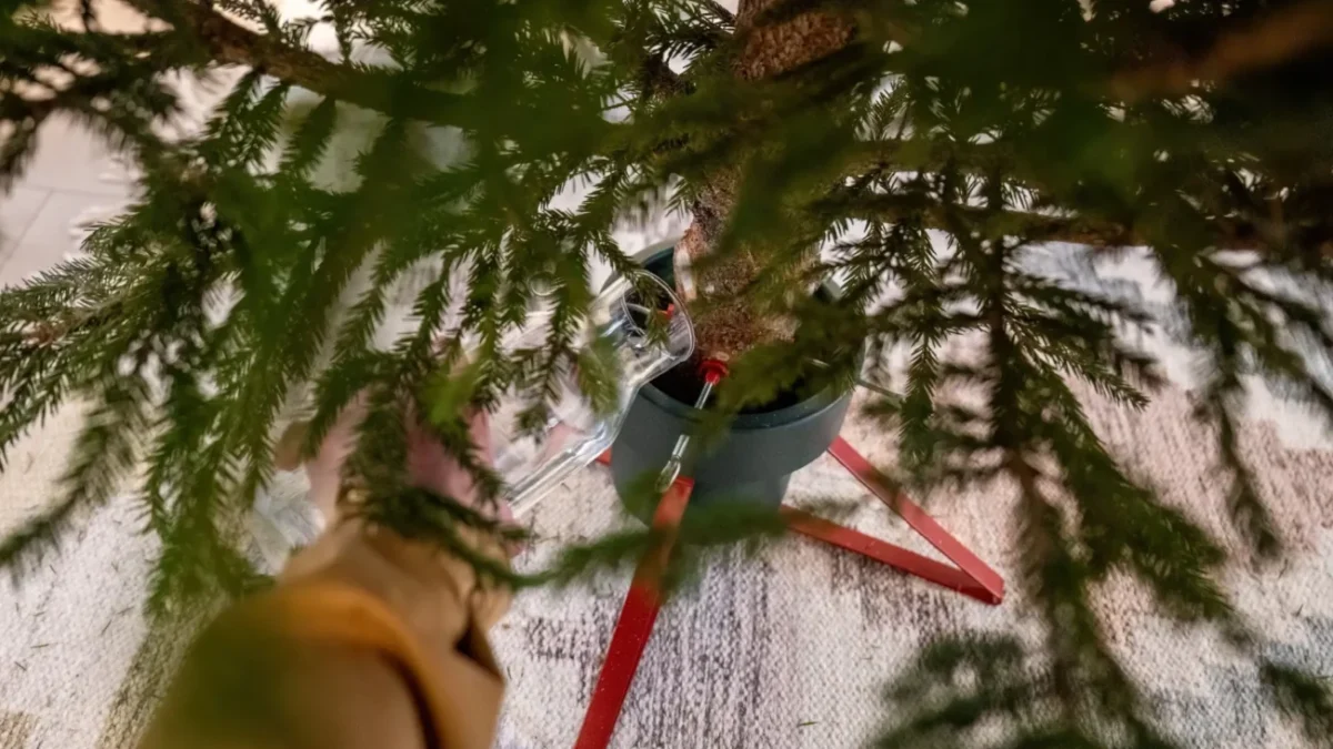 stromek s rukou která drží sklenici