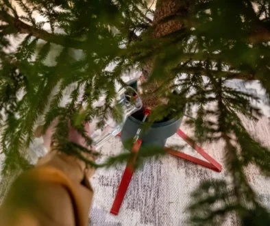 stromek s rukou která drží sklenici