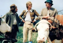 Honza málem králem