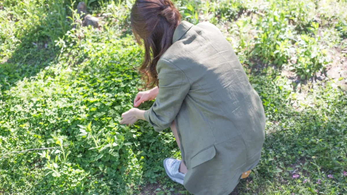 shutterstock_1434307772-2