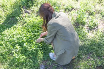 shutterstock_1434307772-2