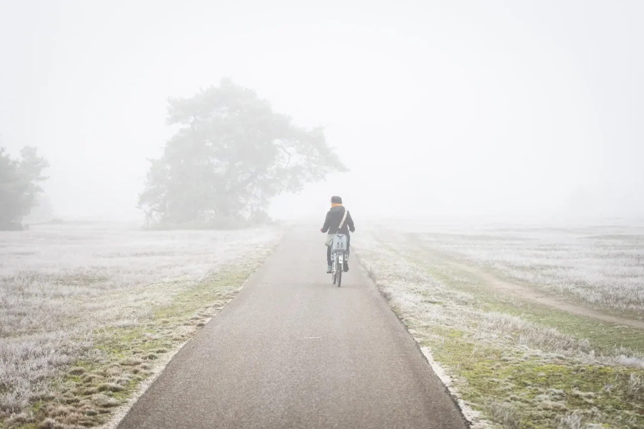 Mlha může nepříjemně zaskočit hlavně řidiče. Zdroj: Shutterstock | TVGURU.cz Mlha může nepříjemně zaskočit hlavně řidiče. Zdroj: Shutterstock