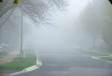 Nad naší republikou se stahují mračna. Tedy jen ta meteorologická. Nikdo ale neví, jak se zachovají. Zdroj: Shutterstock