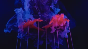 S takovou hrůzou na klidný spánek zapomeňte