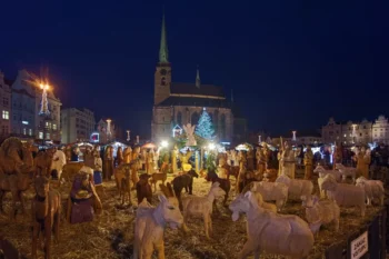 Vánoční trhy v Plzni