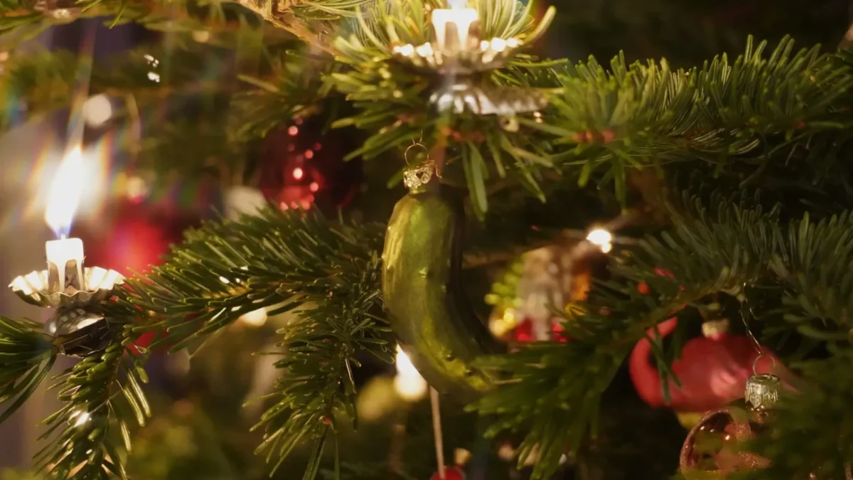 okurka na stromečku