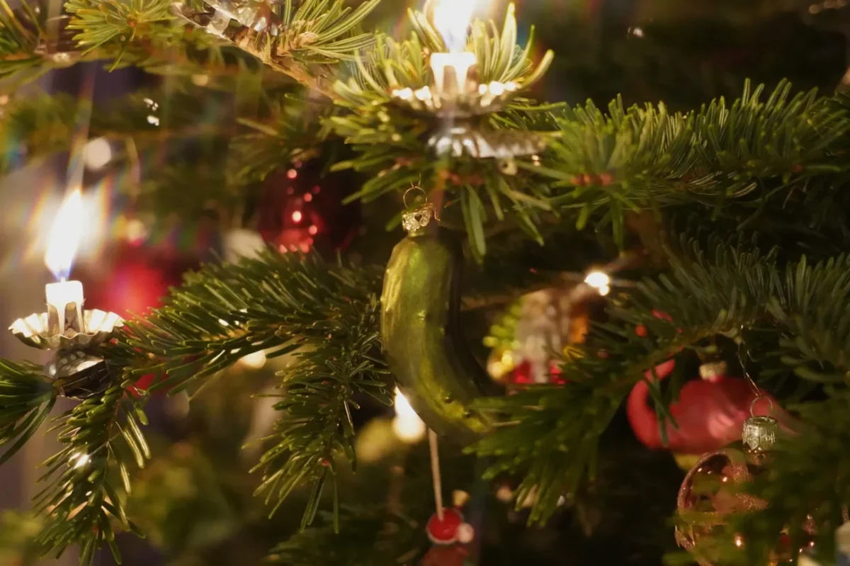 okurka na stromečku