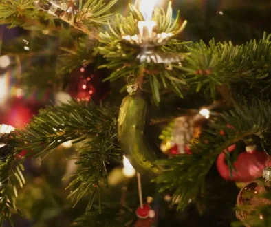 okurka na stromečku