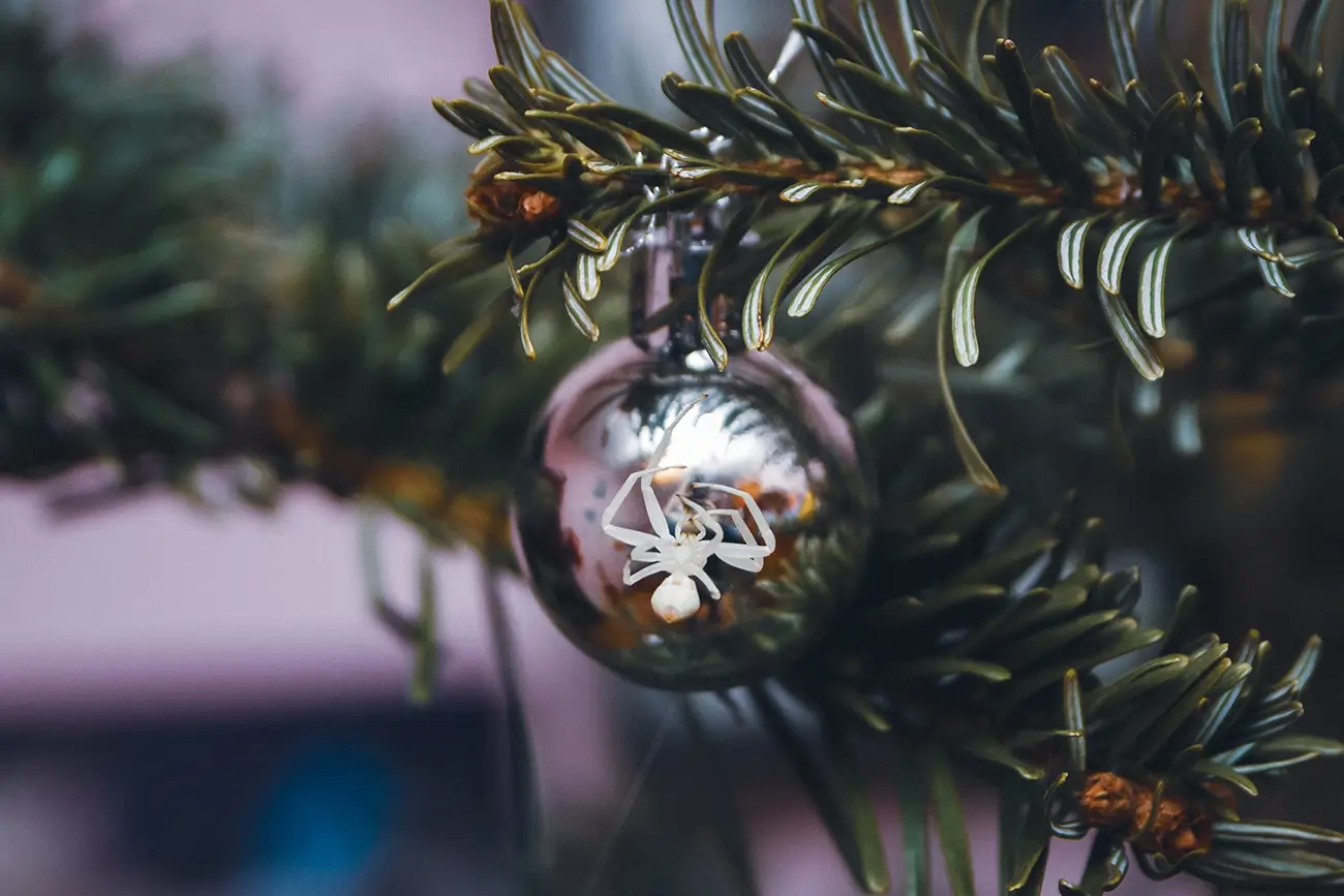 pavouk na vánoční ozdobě