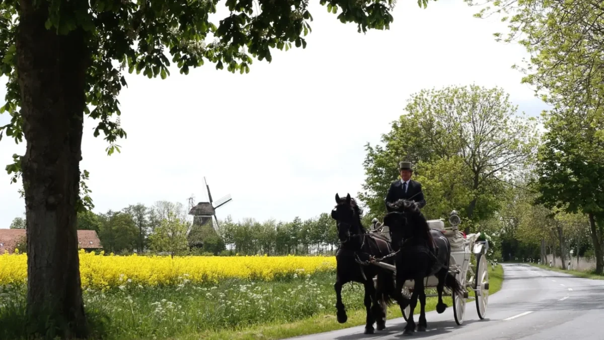 dva vraníci v zápřahu