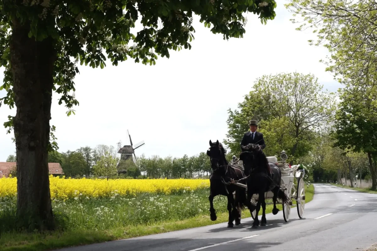 dva vraníci v zápřahu