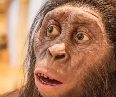 Průlomový objev v evoluci člověka objevili vědci. Posloužili jim k tomu fragmenty čtyř kostí. Foto ilustrační. Zdroj: Shutterstock