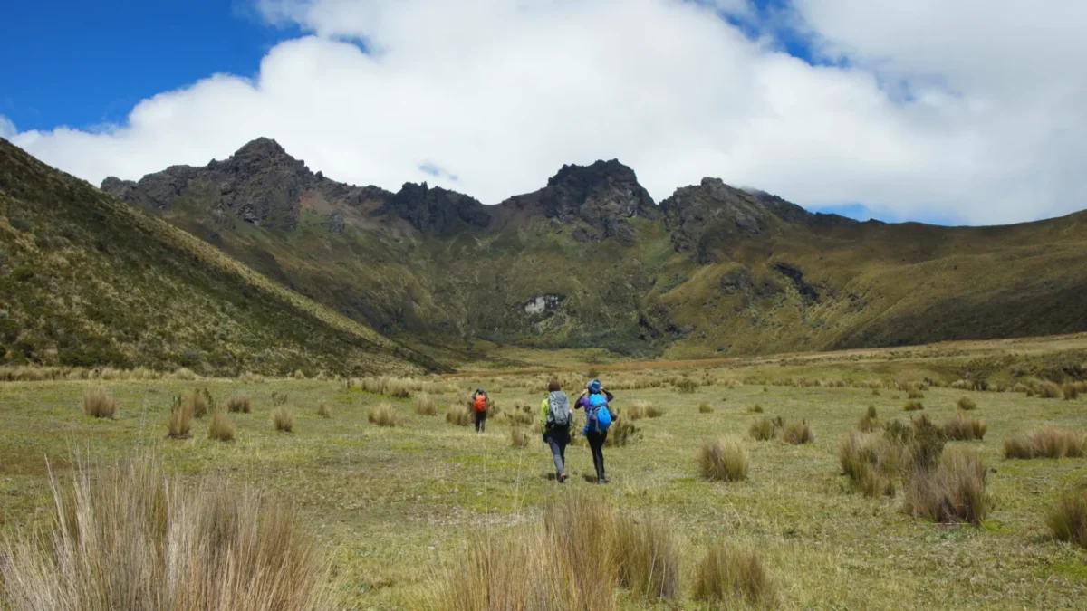 Lidé jdou směrem k horám.