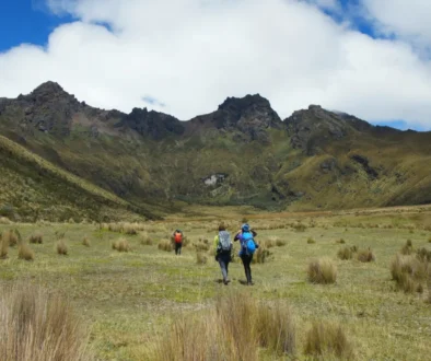 Lidé jdou směrem k horám.
