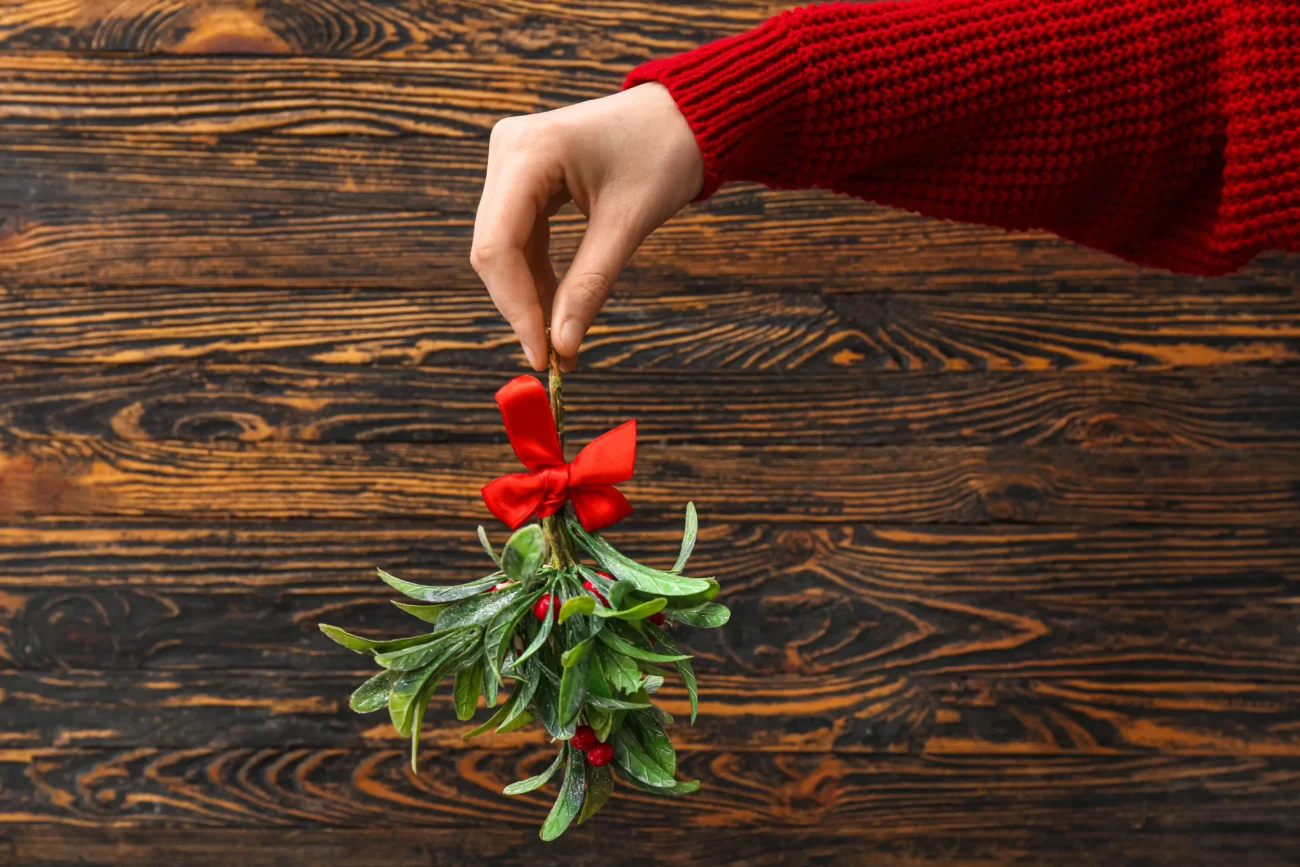 shutterstock_2396602385-min | TVGURU.cz jmelí