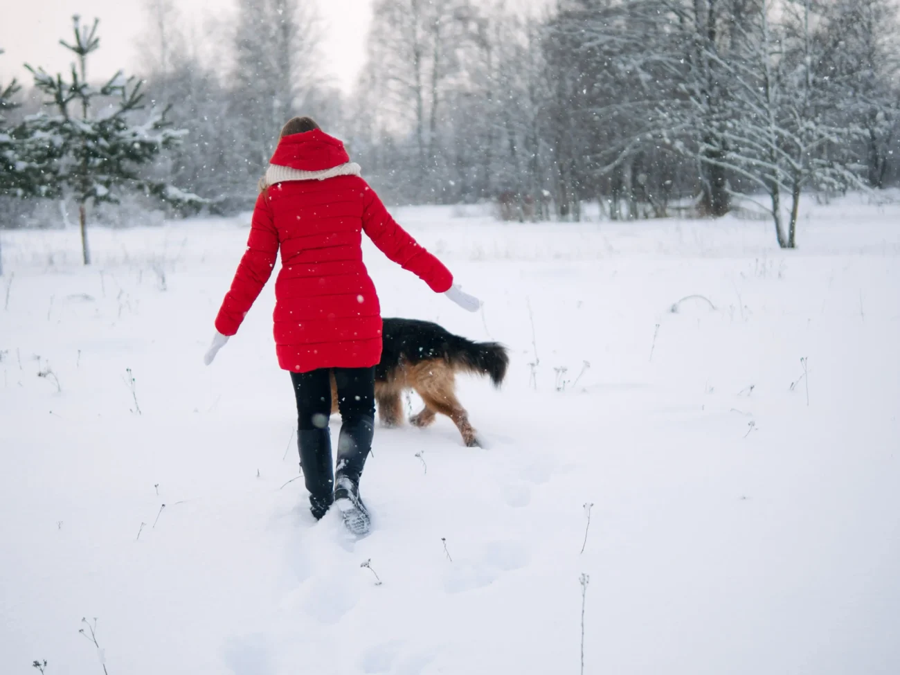 Žena ve sněhu se psem. 
