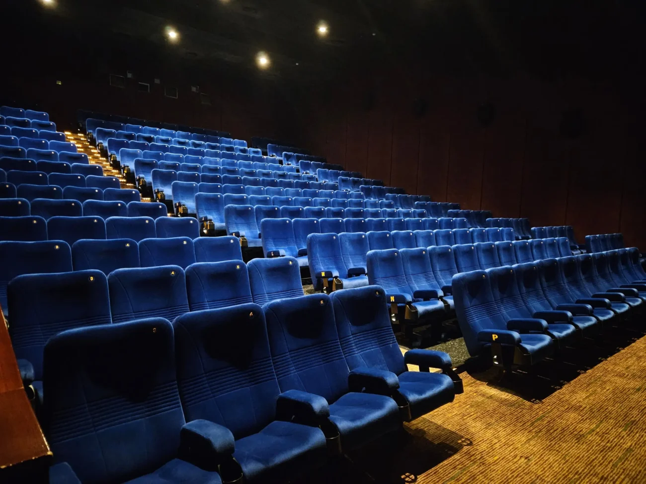 Prázdné kino bez diváků.