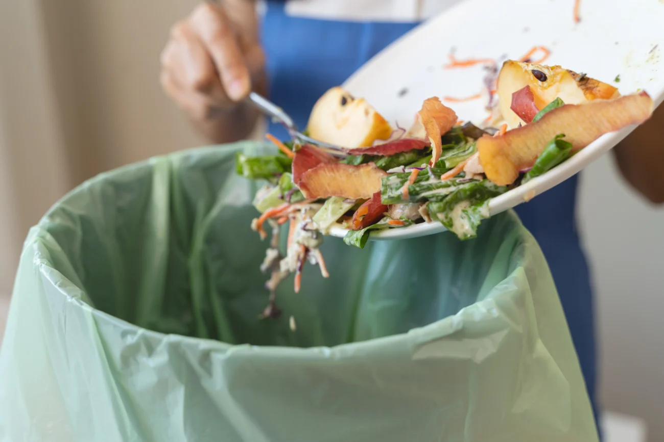 shutterstock_2395822339 | TVGURU.cz plýtvání jídlem