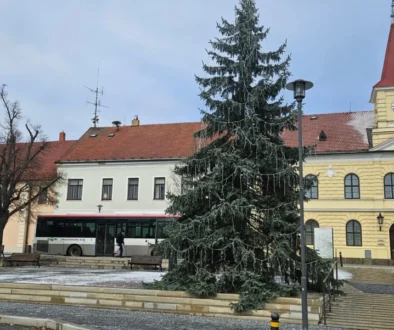 vánoční strom na náměstí