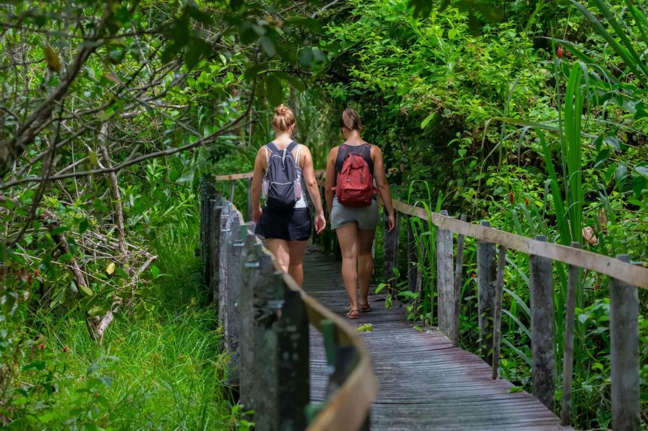 Ženy se prochází džunglí. 