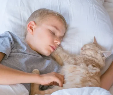 shutterstock_2363392181-2