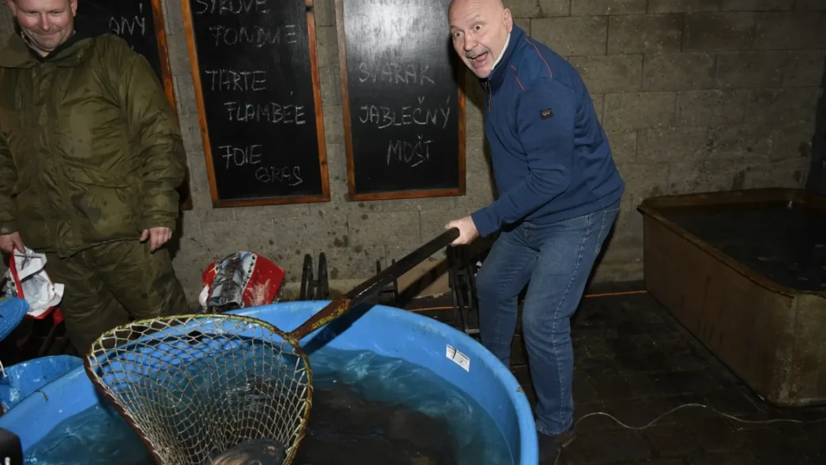 celebrita vylovuje kapra ze sádky