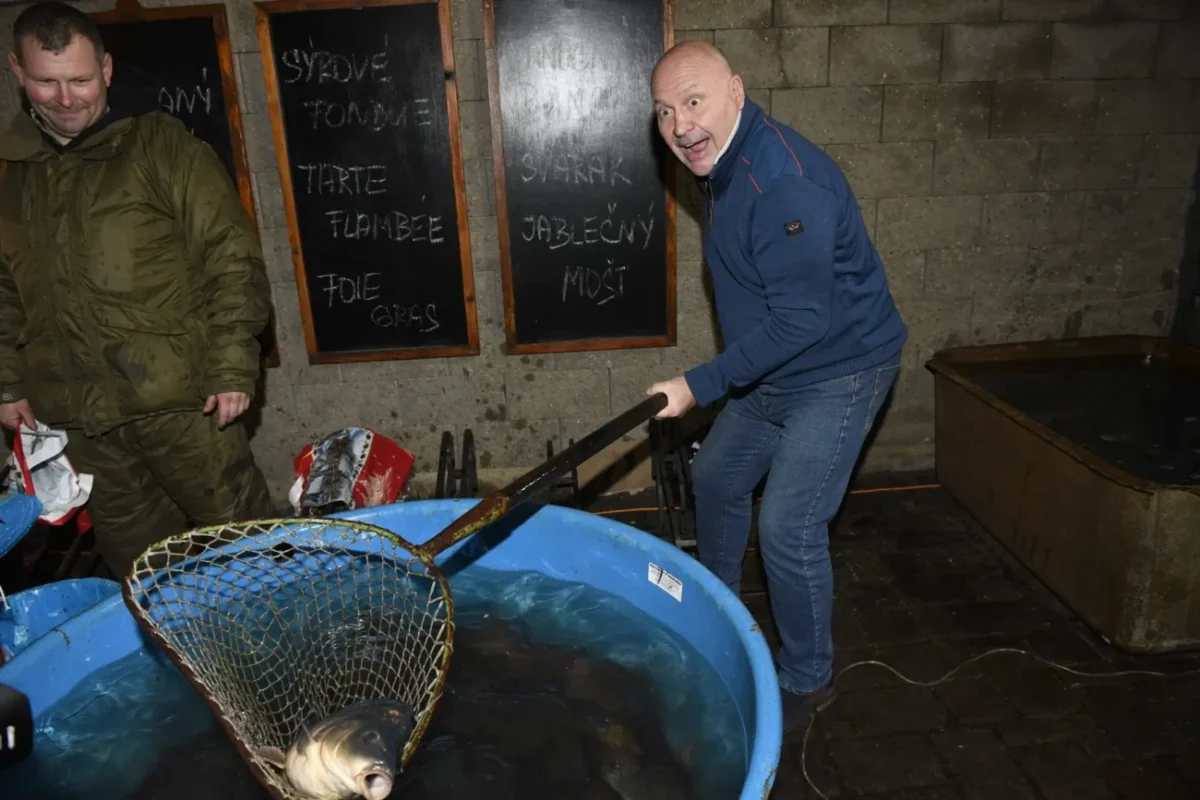 celebrita vylovuje kapra ze sádky