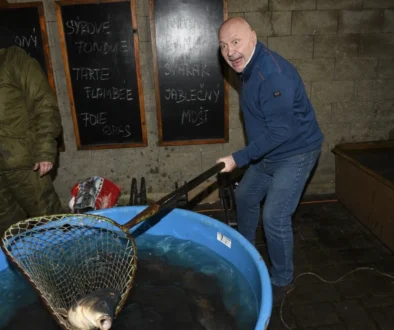 celebrita vylovuje kapra ze sádky