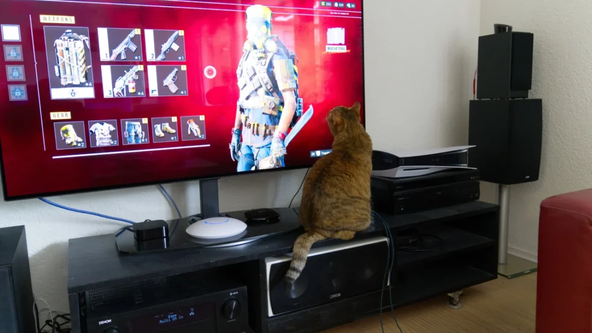 Kočka se dívá na TV.