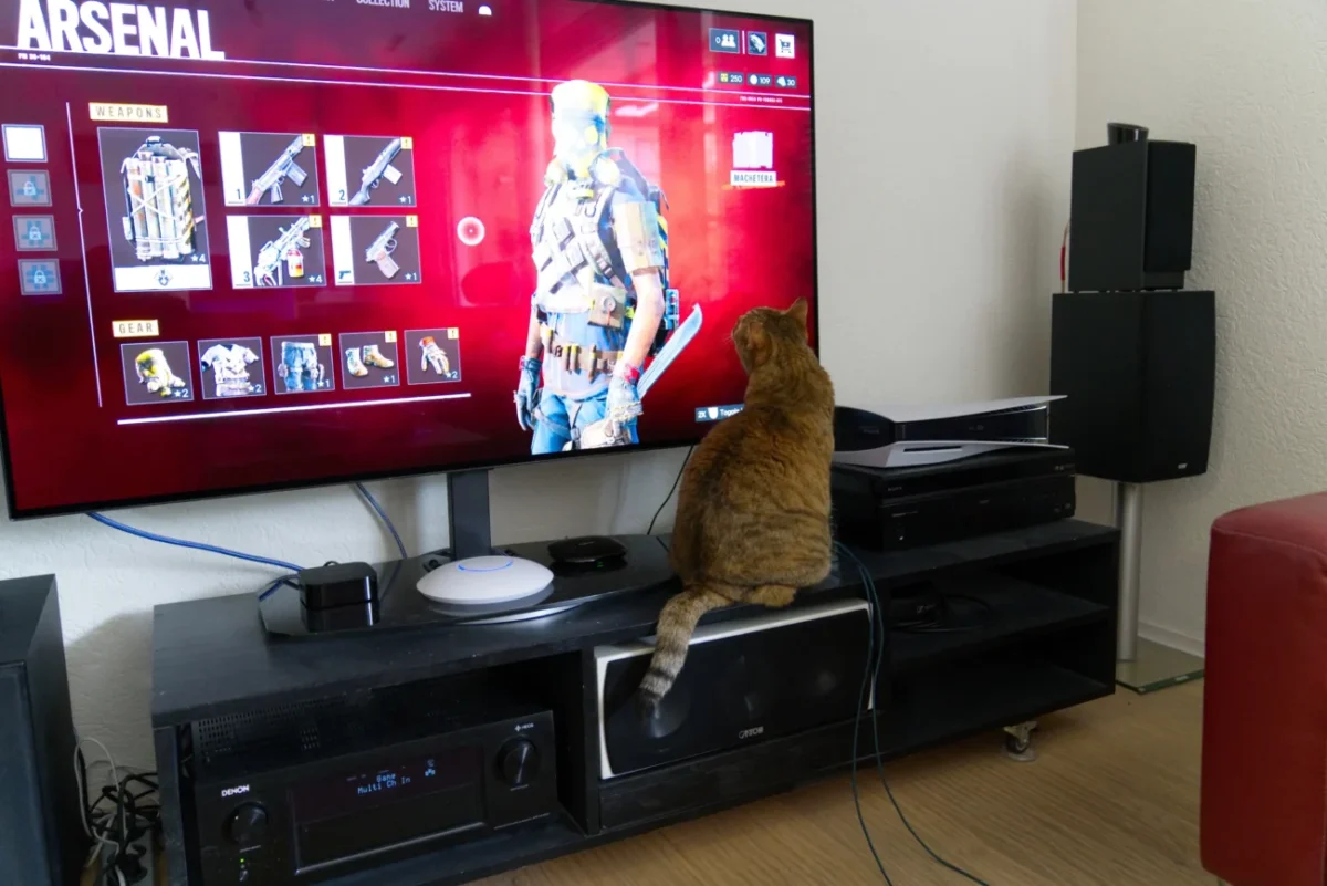 Kočka se dívá na TV.