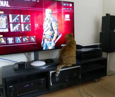 Kočka se dívá na TV.