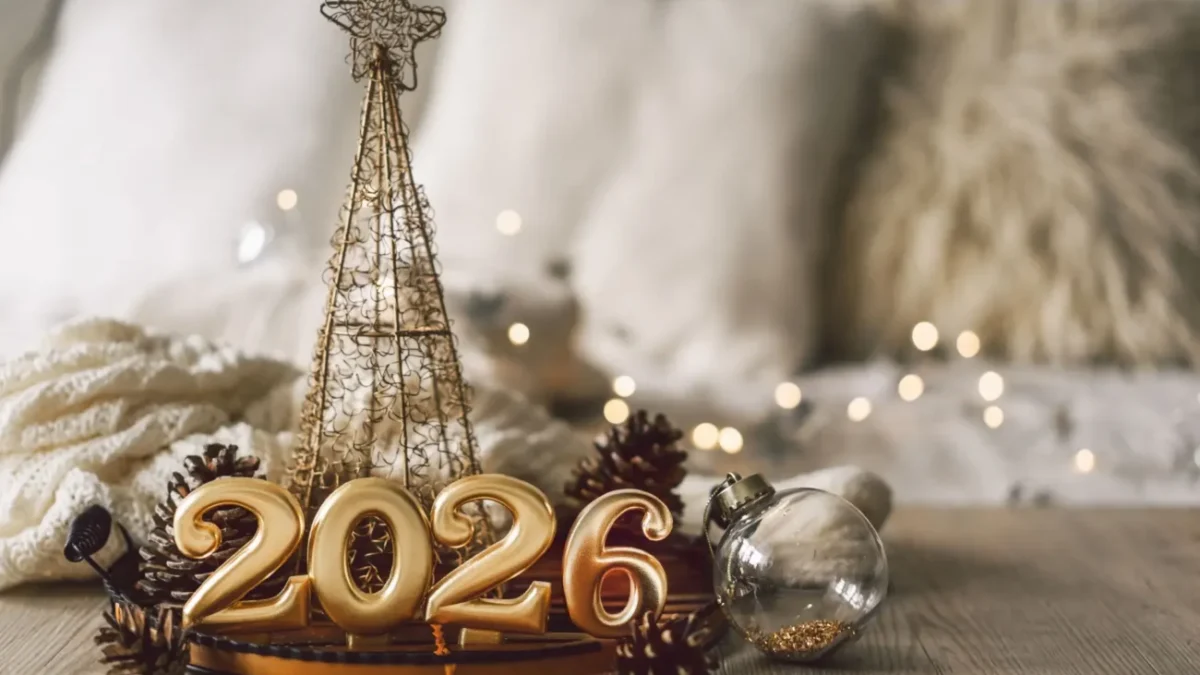 Nový rok začal ve znamení sněhových srážek a teplot pod nulou