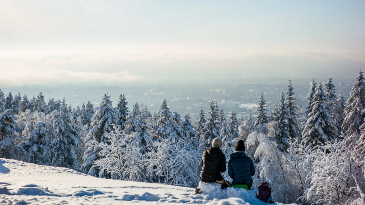 shutterstock_2663656997