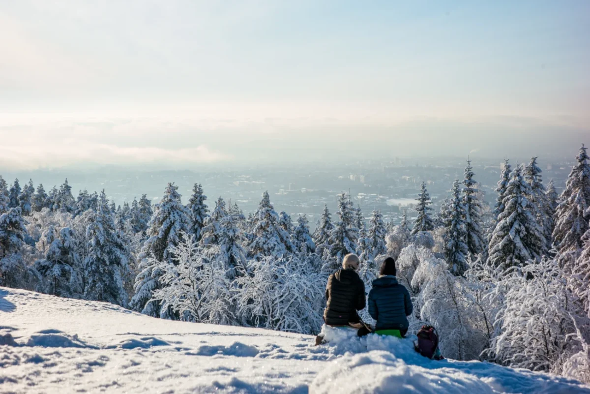 shutterstock_2663656997