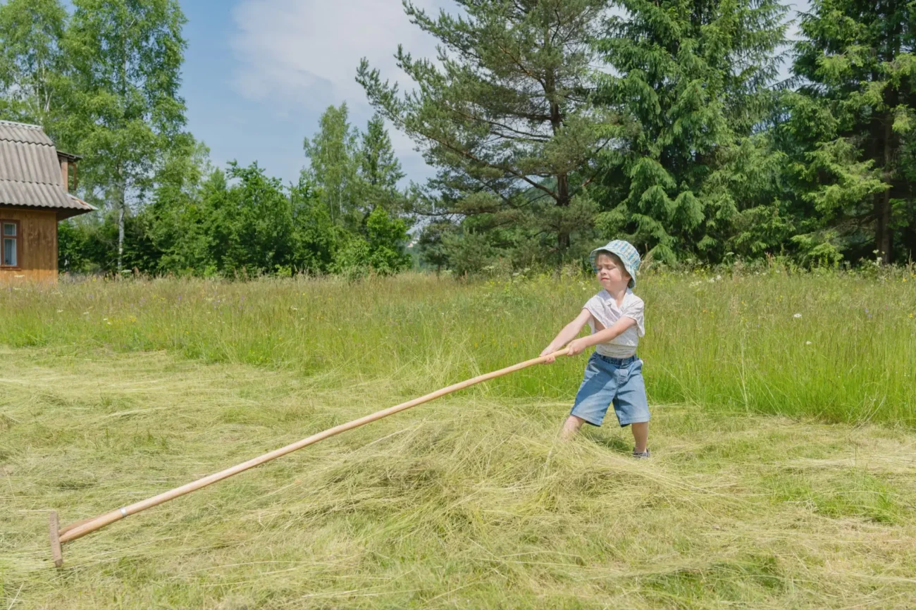 dítě hrabe seno